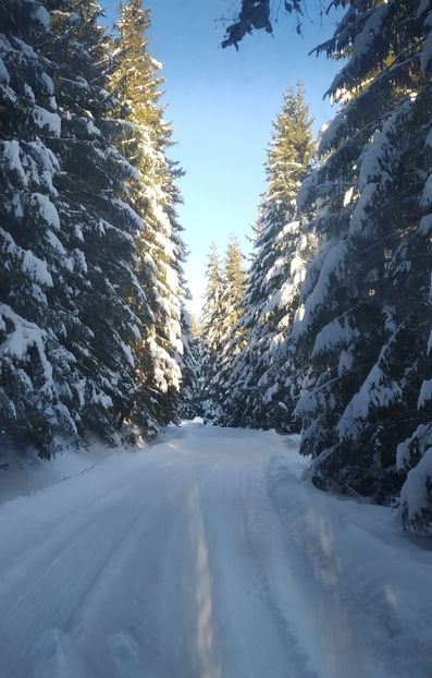  - Iarna la Dobra- Duși