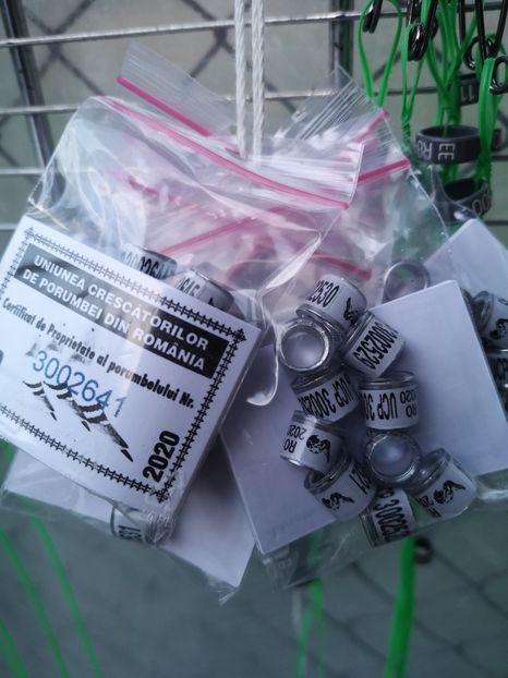  - A de vânzare Inele pentru porumbei 2020