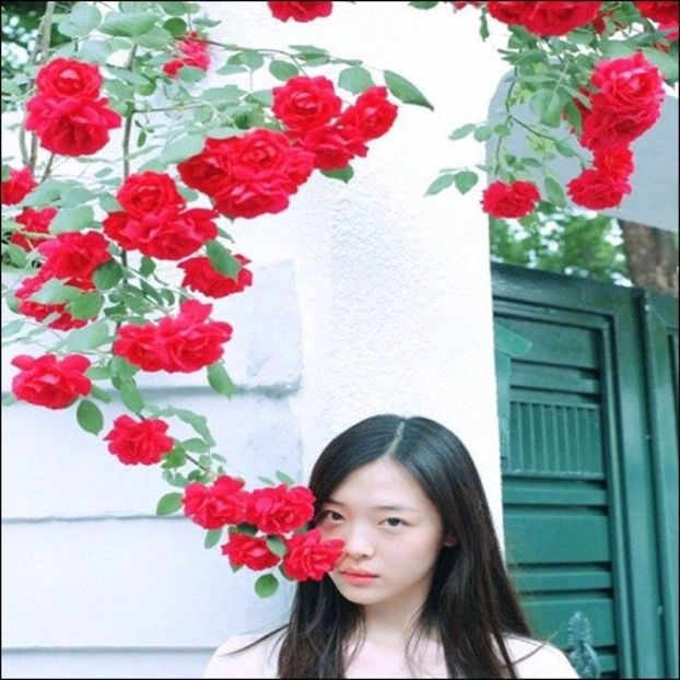 Day 82 - 04.01.2020 - 0x _ In memory of SULLI _ choi jinri