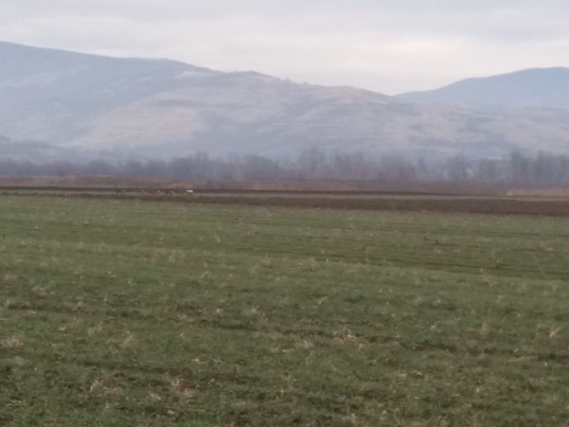  - Prima vînătoare în anul 2020