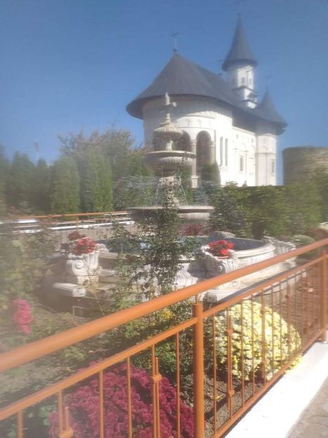 received_696981860801469 - Manastiri