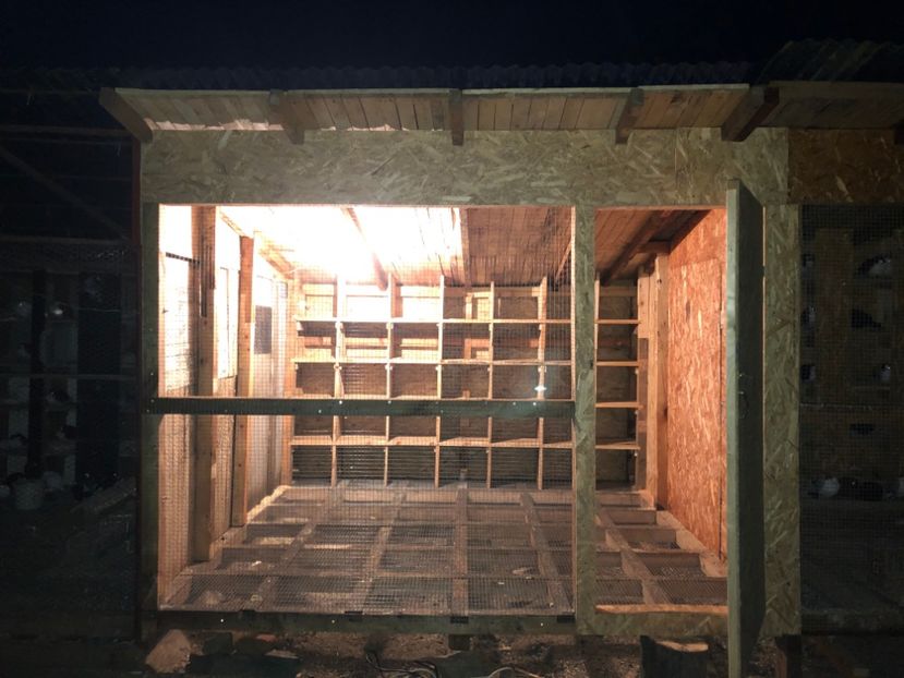  - Voliera numărul 5