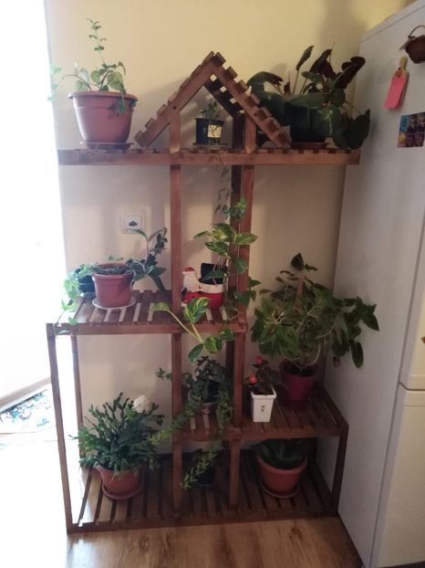 received_344424996183663 - KONTACTTT