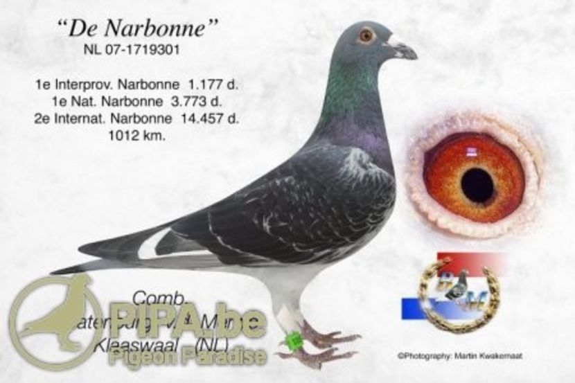 nl07-1719301_de_narbonne_batenburg-vd_merwe - Ispas M Kleine