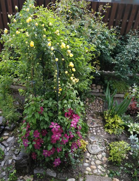  - Persian Yellow