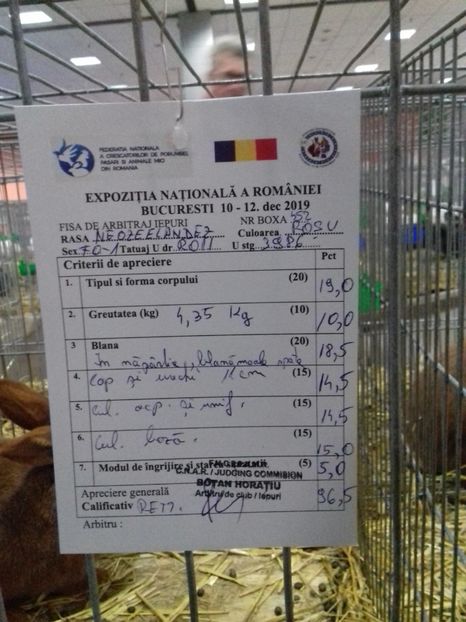  - Rezultate Expo Nationala Bucuresti 2019