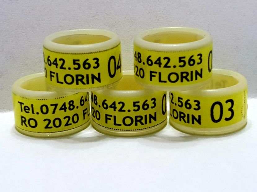  - 1-A-INELE PERSONALIZATE 2020