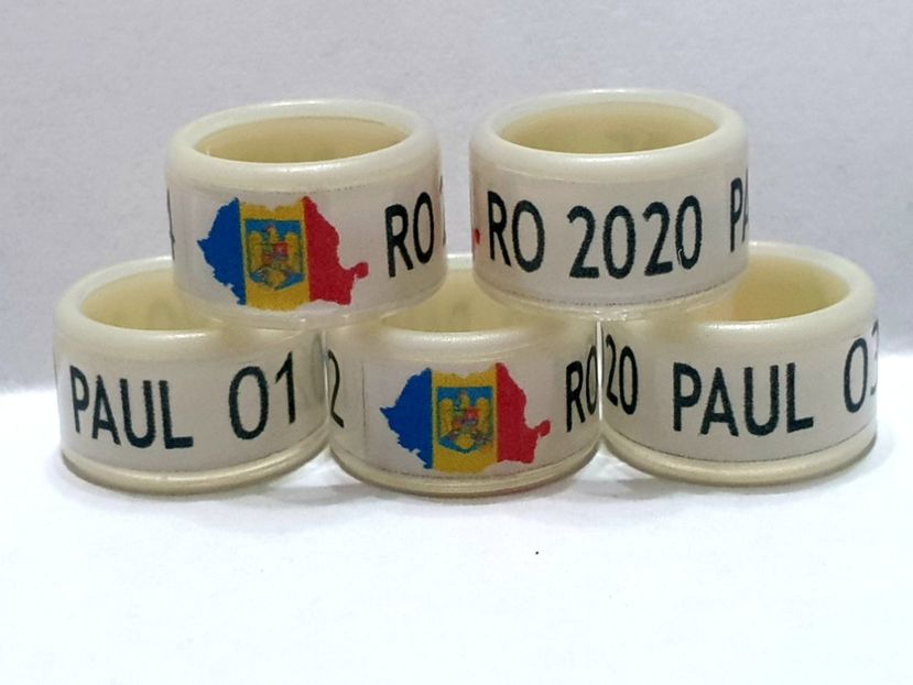  - 1-A-INELE PERSONALIZATE 2020