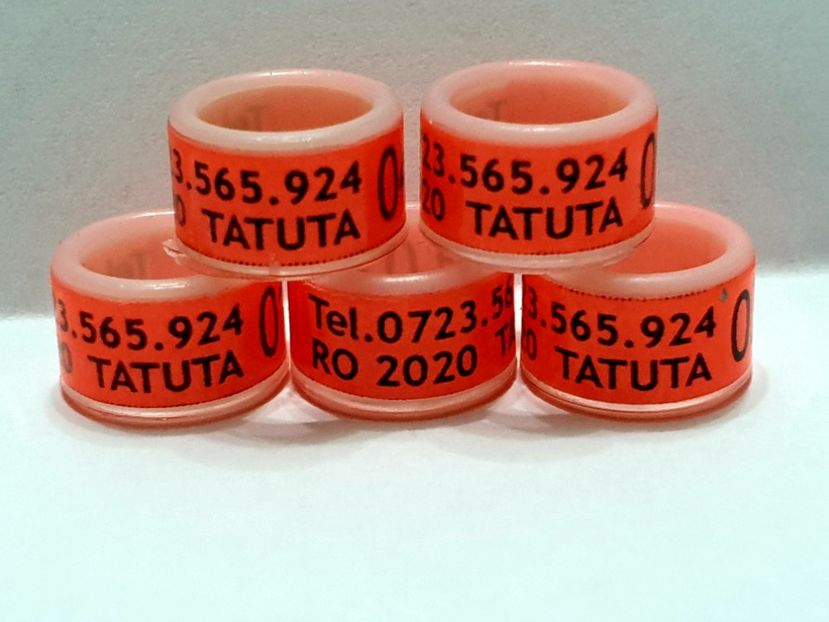  - 1-A-INELE PERSONALIZATE 2020