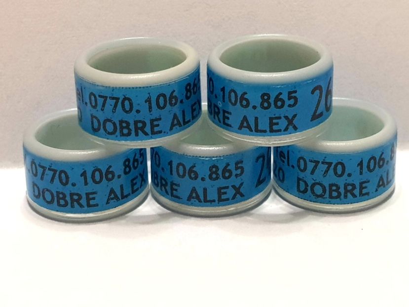  - 1-A-INELE PERSONALIZATE 2020