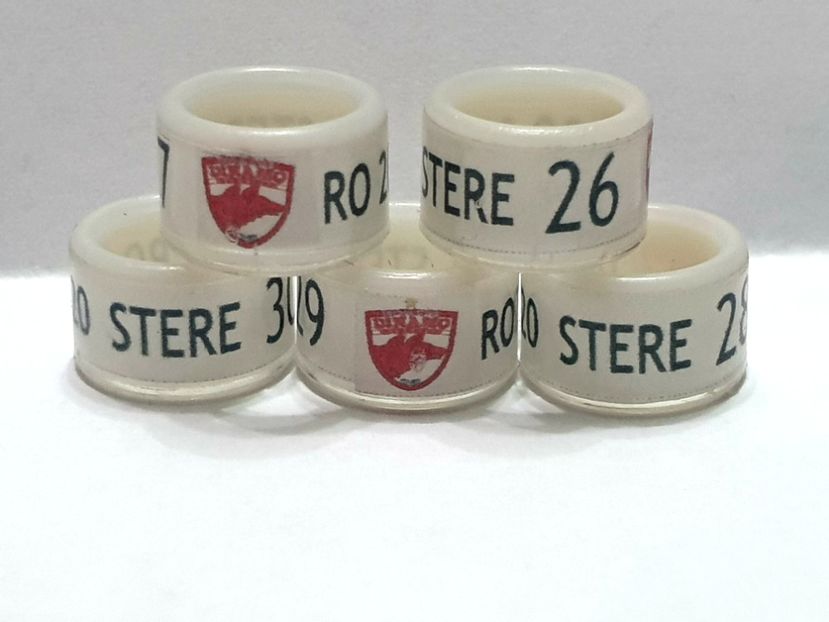  - 1-A-INELE PERSONALIZATE 2020