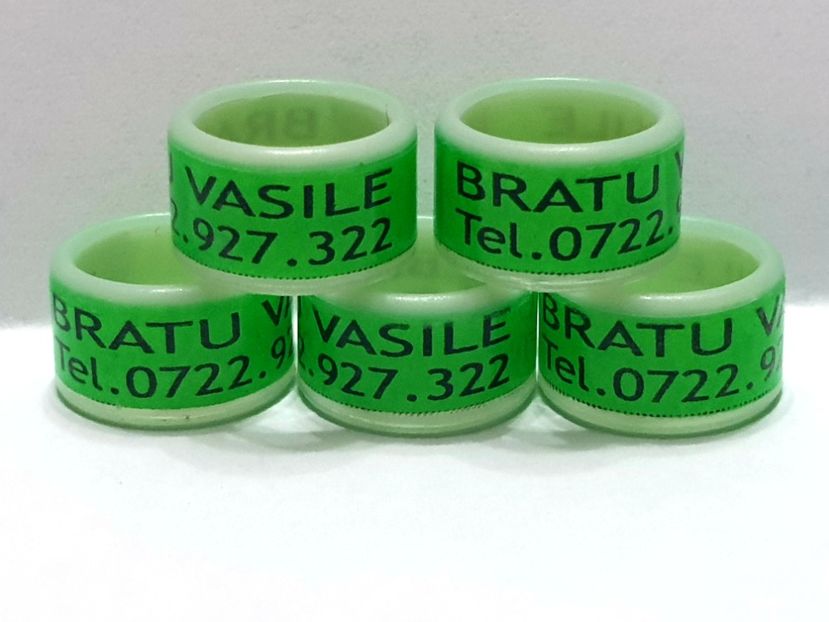  - 1-A-INELE PERSONALIZATE 2020