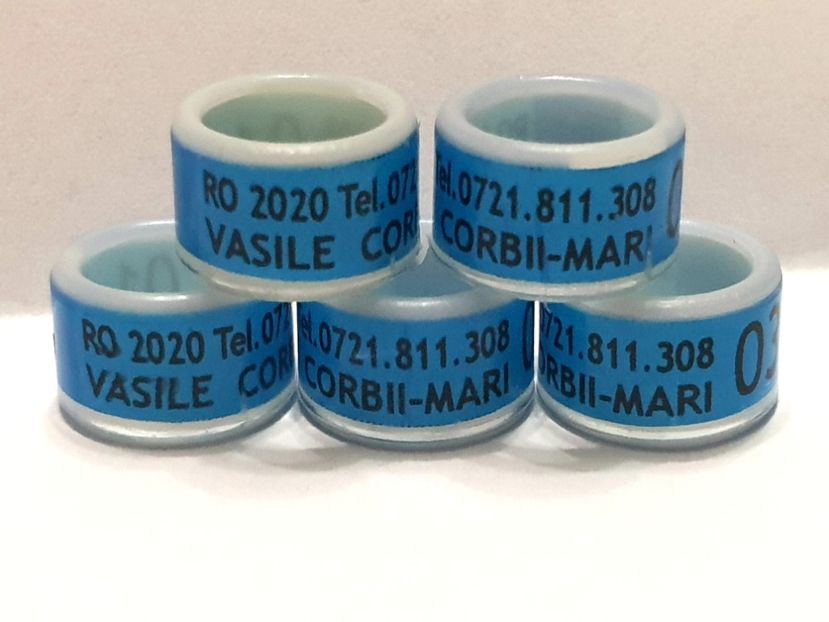  - 1-A-INELE PERSONALIZATE 2020