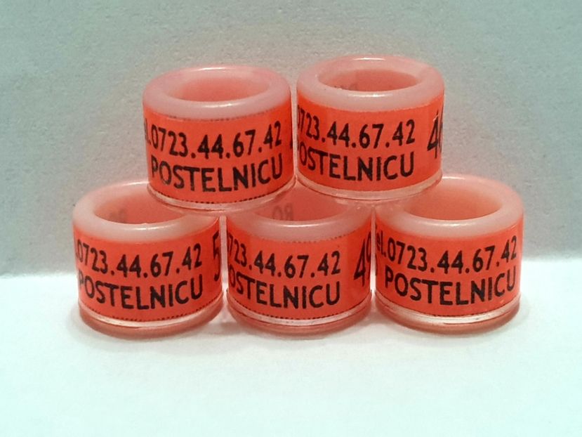  - 1-A-INELE PERSONALIZATE 2020