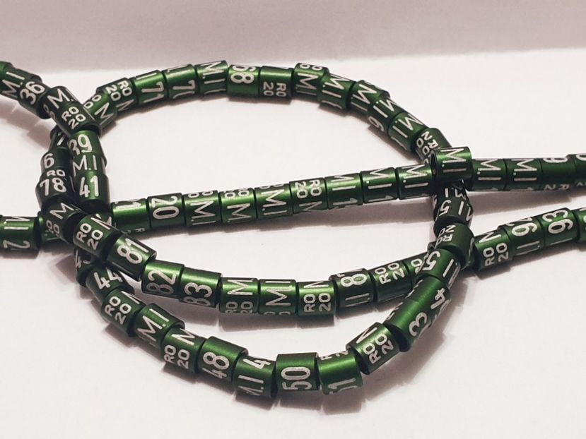  - 1-A-INELE PERSONALIZATE 2020