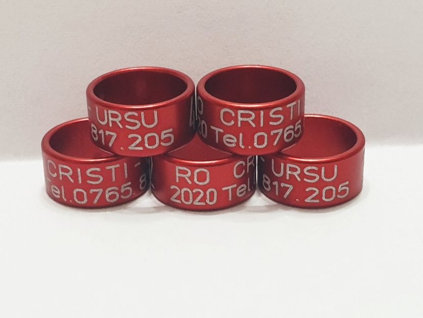  - 1-A-INELE PERSONALIZATE 2020