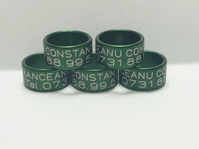  - 1-A-INELE PERSONALIZATE 2020