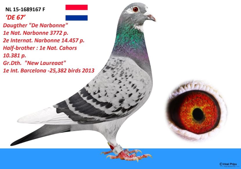 Bunica-m-grandson-new-laureaat-kleine-jade-de-narbonne - Ispas M Kleine