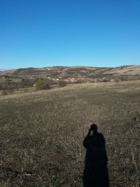  - Hemerocalisi infloriti in 2019