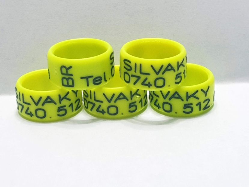 Silvaky - -- Contact -- 0740512028