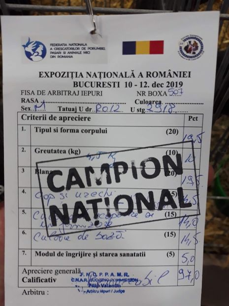 BC548761-7F80-43A3-BCC9-78051365A0F8 - Campion național Romexpo 2019 mascul 97 pct Campion colecție