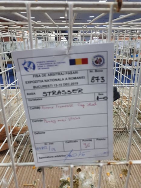  - EXPOZITIA NATIONALA ROMEXPO 2019