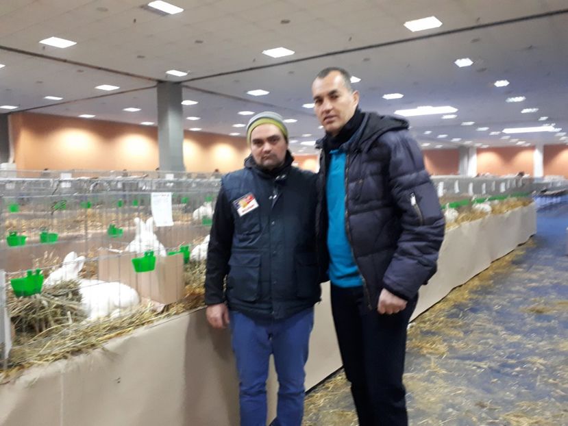  - EXPOZITIA NATIONALA ROMEXPO 2019