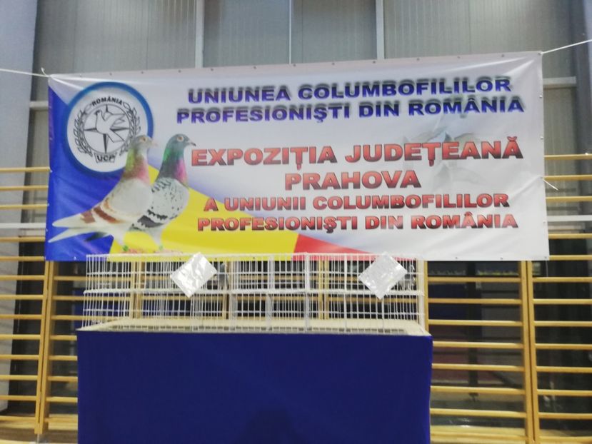  - 2020 EXPOZITIA JUDETEANA Prahova UCPR