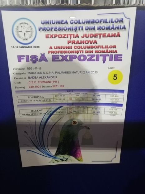  - 2020 EXPOZITIA JUDETEANA Prahova UCPR