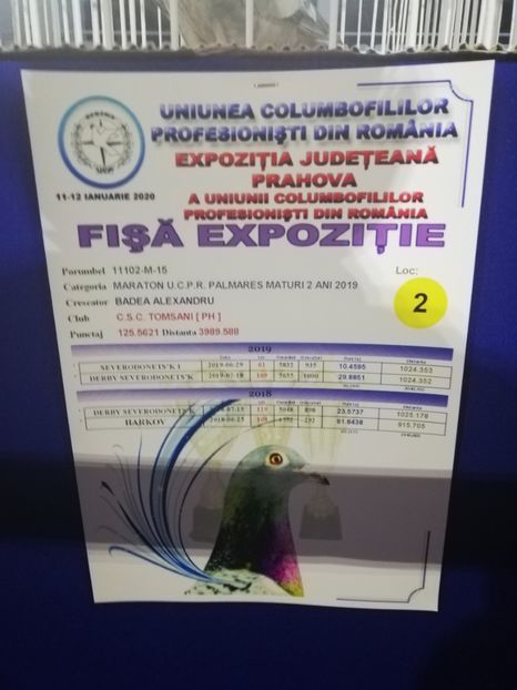  - 2020 EXPOZITIA JUDETEANA Prahova UCPR