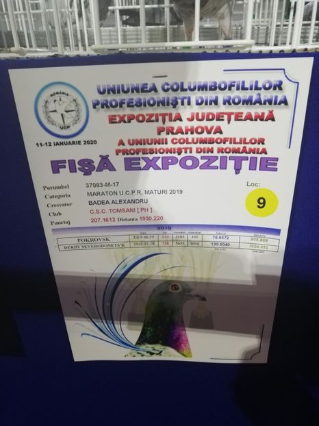  - 2020 EXPOZITIA JUDETEANA Prahova UCPR