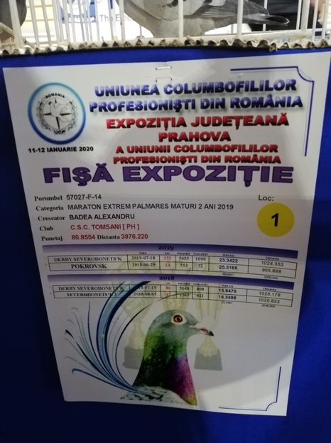  - 2020 EXPOZITIA JUDETEANA Prahova UCPR