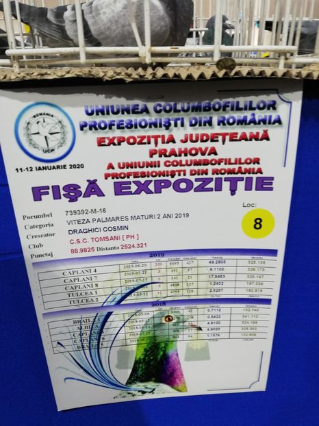  - 2020 EXPOZITIA JUDETEANA Prahova UCPR