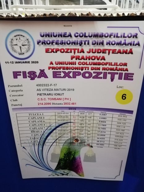  - 2020 EXPOZITIA JUDETEANA Prahova UCPR