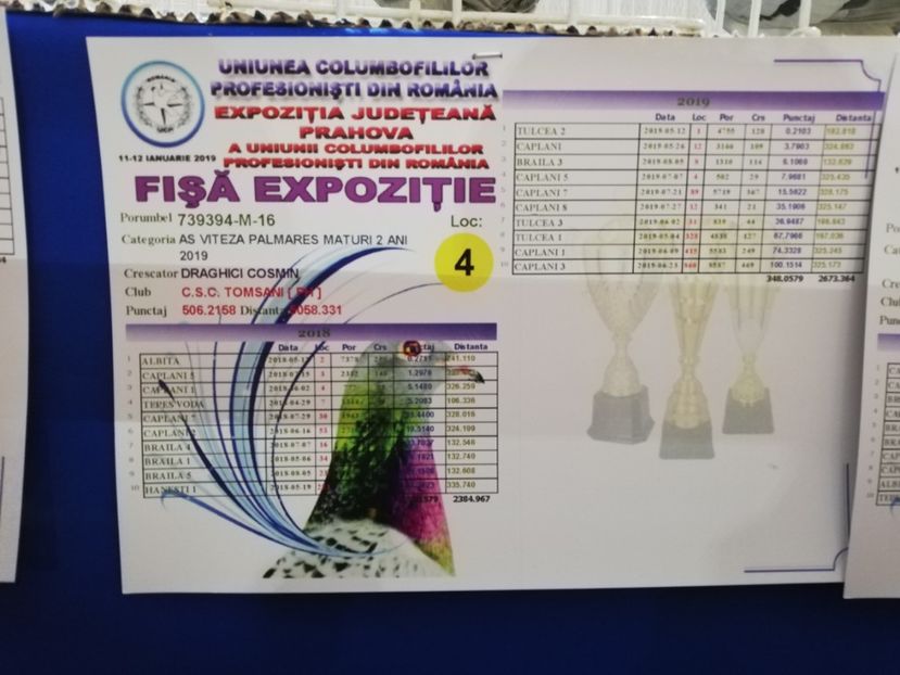  - 2020 EXPOZITIA JUDETEANA Prahova UCPR