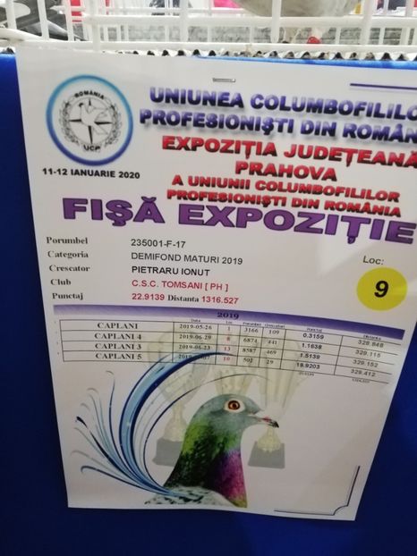  - 2020 EXPOZITIA JUDETEANA Prahova UCPR