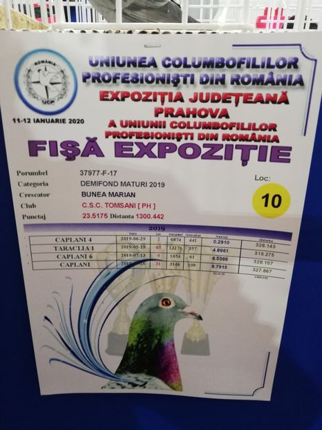  - 2020 EXPOZITIA JUDETEANA Prahova UCPR