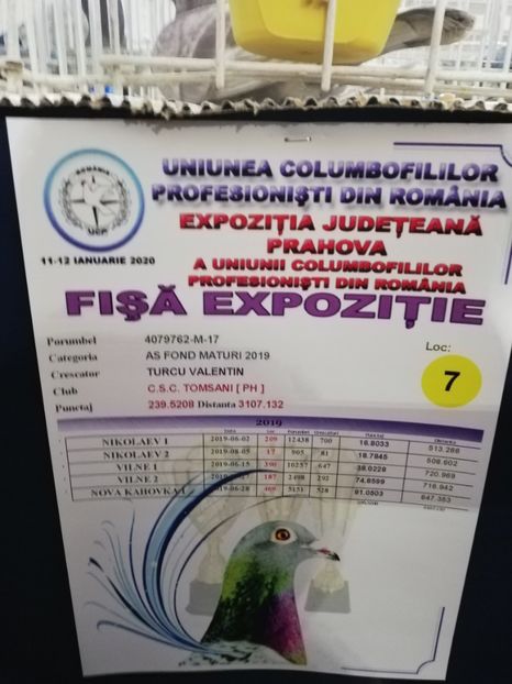  - 2020 EXPOZITIA JUDETEANA Prahova UCPR