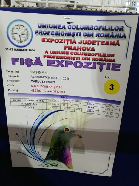  - 2020 EXPOZITIA JUDETEANA Prahova UCPR