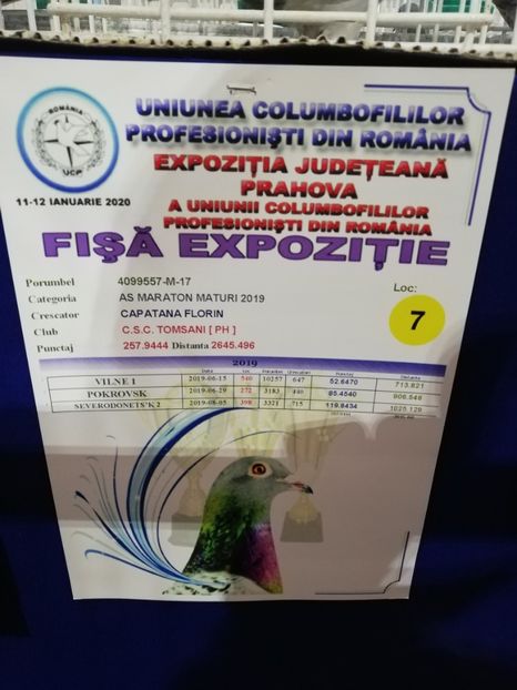 - 2020 EXPOZITIA JUDETEANA Prahova UCPR