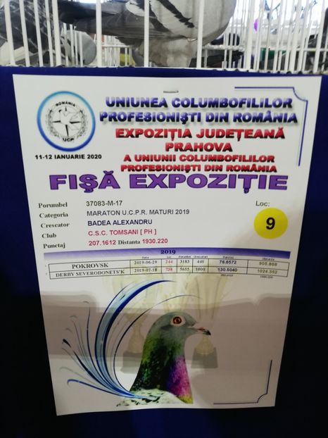  - 2020 EXPOZITIA JUDETEANA Prahova UCPR