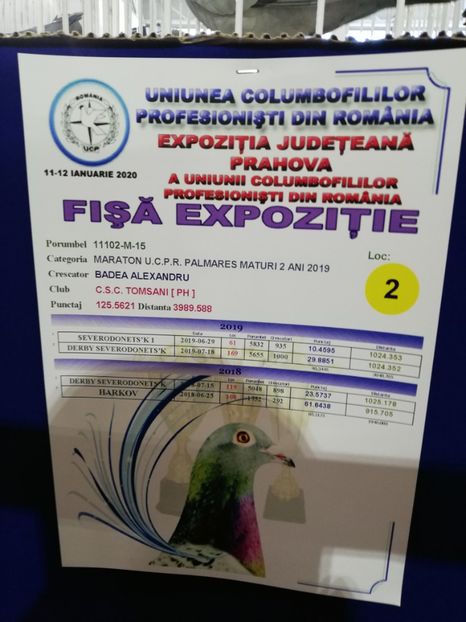  - 2020 EXPOZITIA JUDETEANA Prahova UCPR
