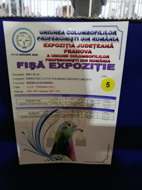  - 2020 EXPOZITIA JUDETEANA Prahova UCPR