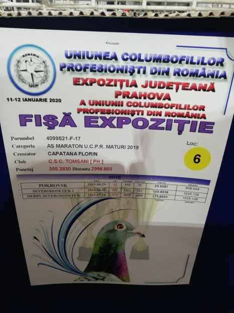  - 2020 EXPOZITIA JUDETEANA Prahova UCPR