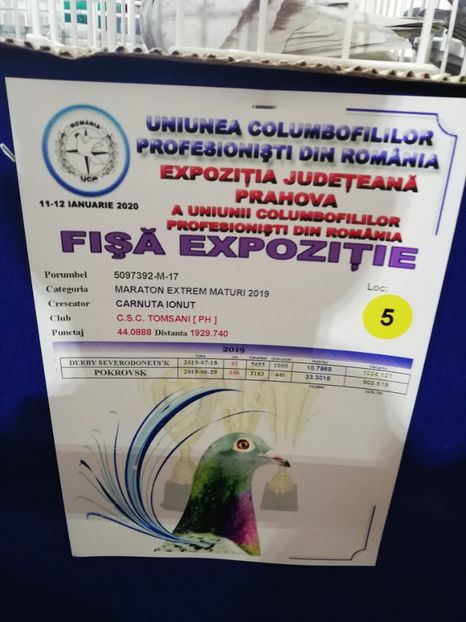  - 2020 EXPOZITIA JUDETEANA Prahova UCPR