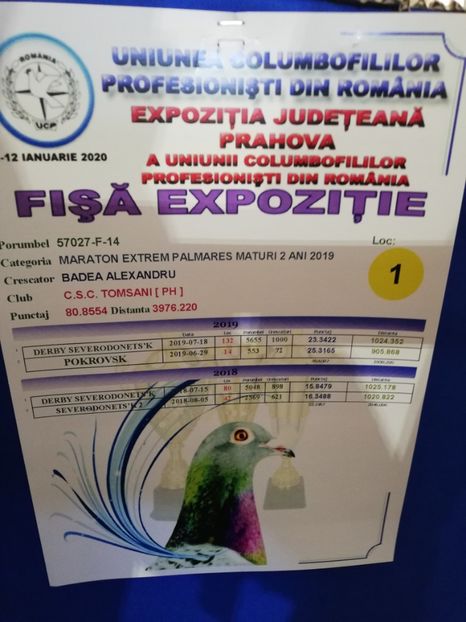  - 2020 EXPOZITIA JUDETEANA Prahova UCPR