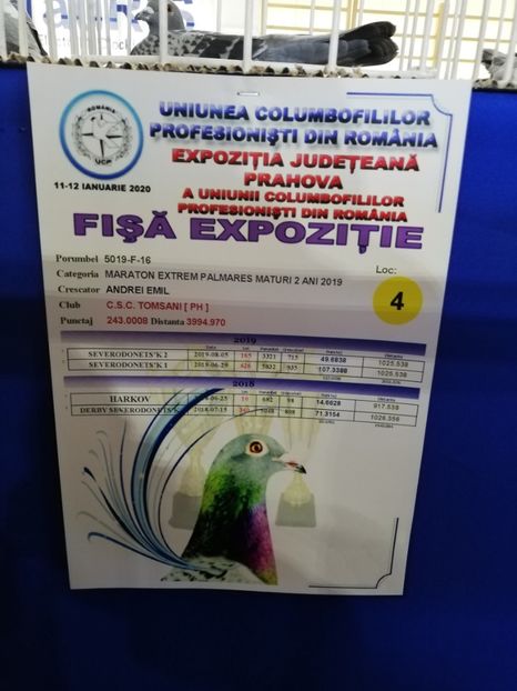  - 2020 EXPOZITIA JUDETEANA Prahova UCPR