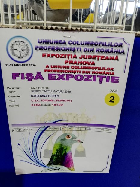  - 2020 EXPOZITIA JUDETEANA Prahova UCPR