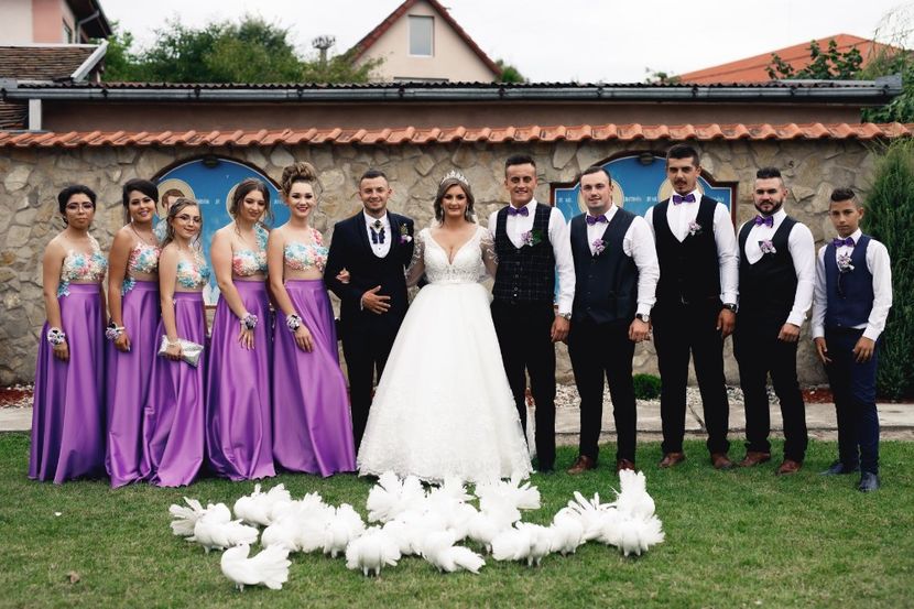  - Porumbei albi voltati pentru nunti SATU MARE