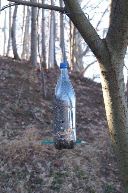 Hranitoare din sticla de plastic ... si doua creioane . - 1 Gradina mea